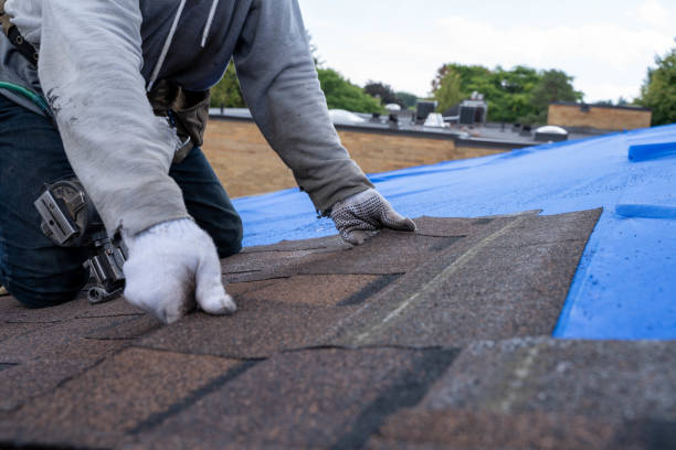 Best Metal Roofing Contractor  in Orange Blossom, CA